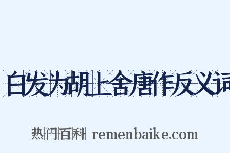 白发为胡上舍唐作反义词是什么意思的图片